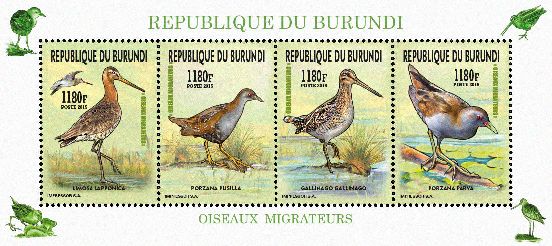 Fauna & Flora : Birds 2015 (I) Les Gallinules & Rallidés