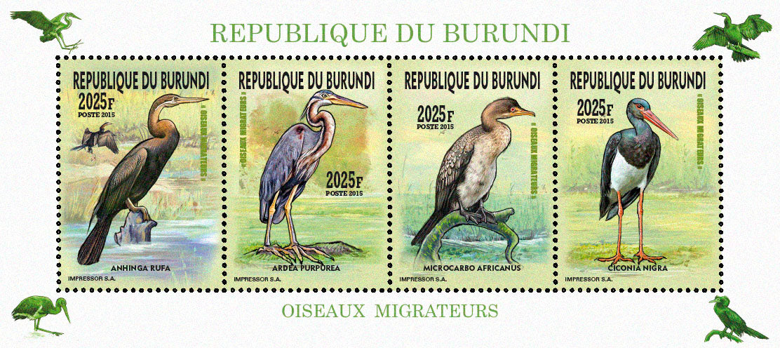 Fauna & Flora : Birds 2015 (III) Echassiers & Cormorans