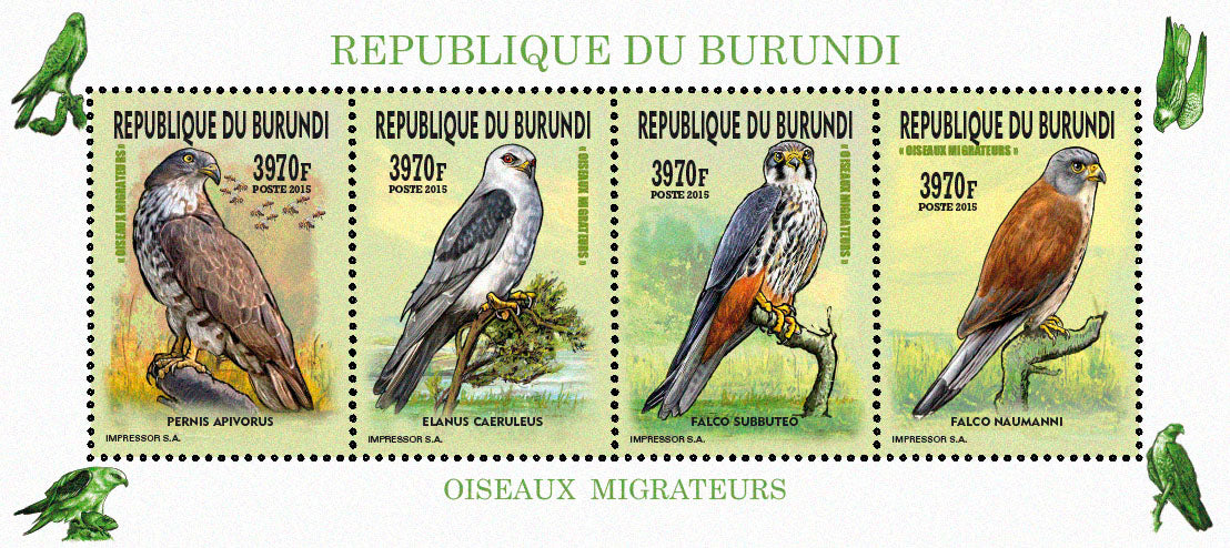 Fauna & Flora : Birds 2015 (VIII) Les Rapaces