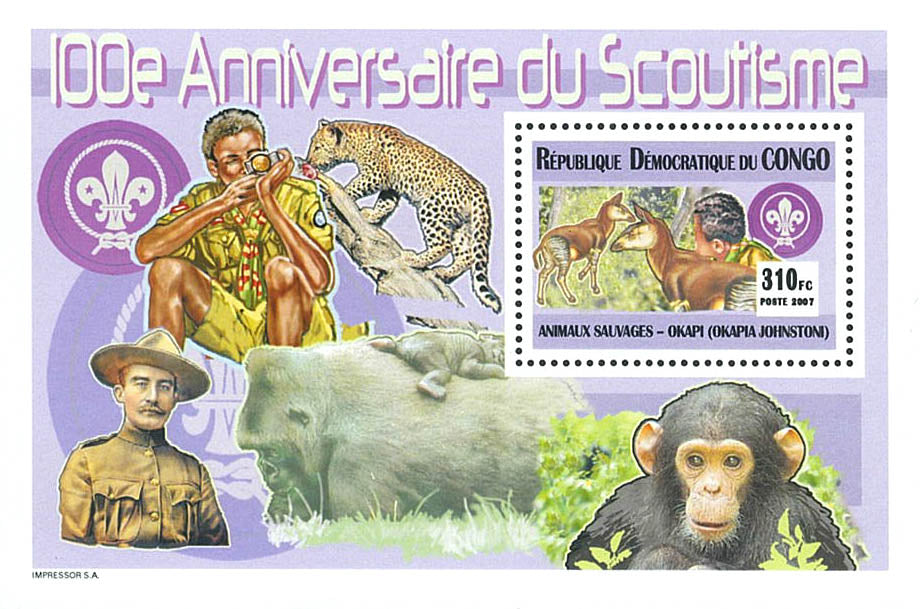 Scouting - Wild Life (2007)