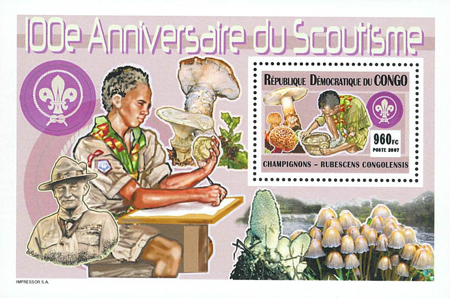 Scouting 100th anniversary- Mushrooms (2007)