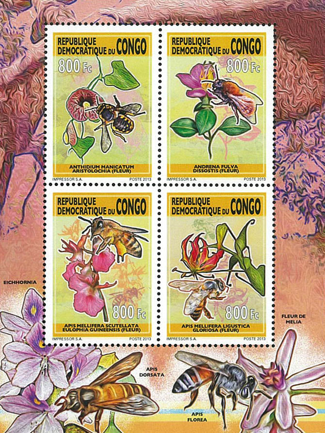 Bees & Orchids (2013)