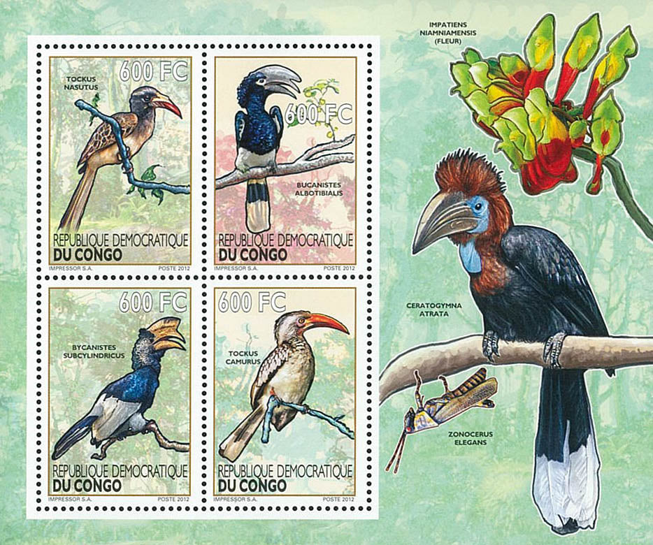 Birds / Calaos - Fauna & Flora (2012)
