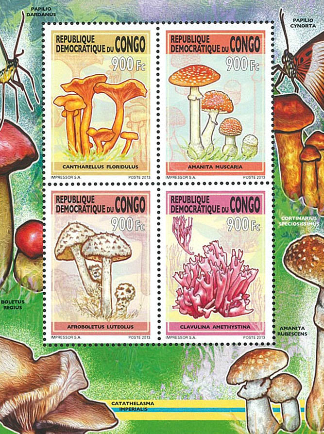 Mushrooms (2013)
