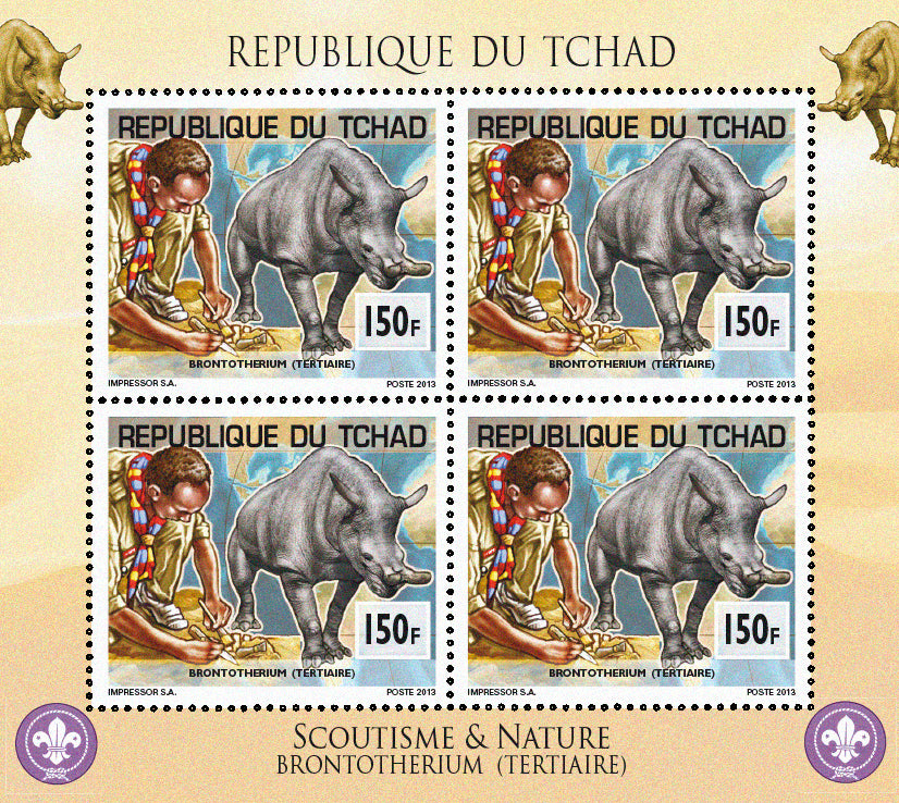 Scouting & Prehistory