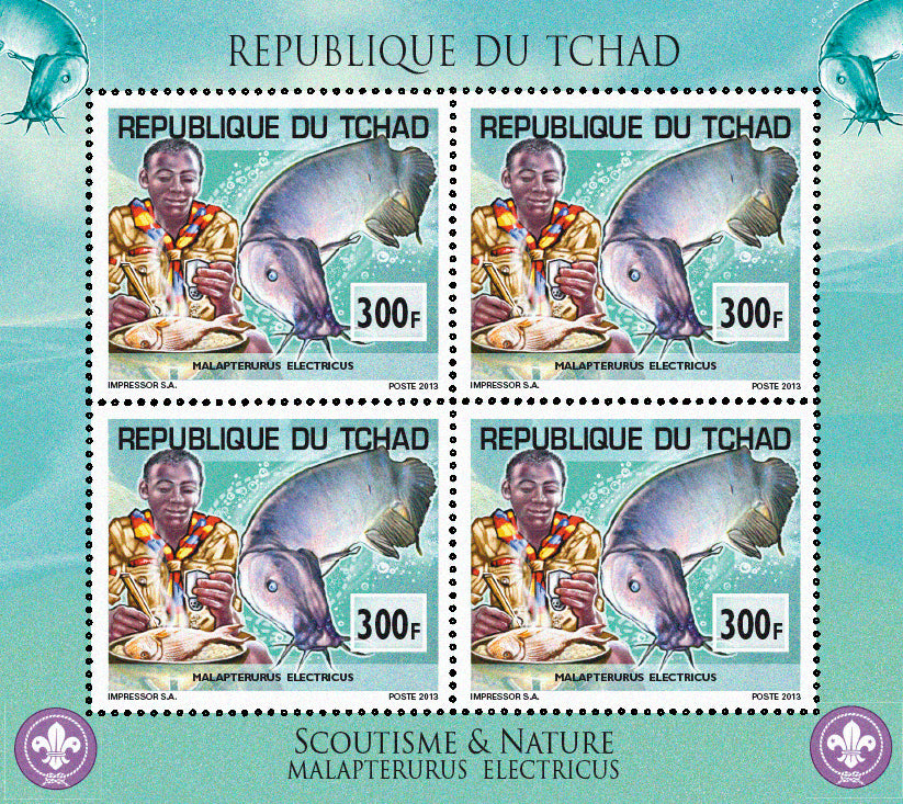 Scouting & Fishes