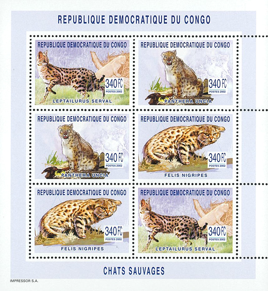 Wild Cats Fauna