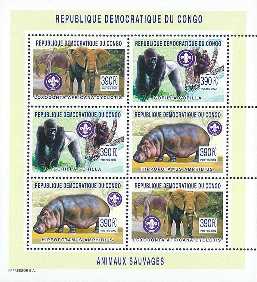 Elephants, Gorillas & Hippotamus - SCOUTING