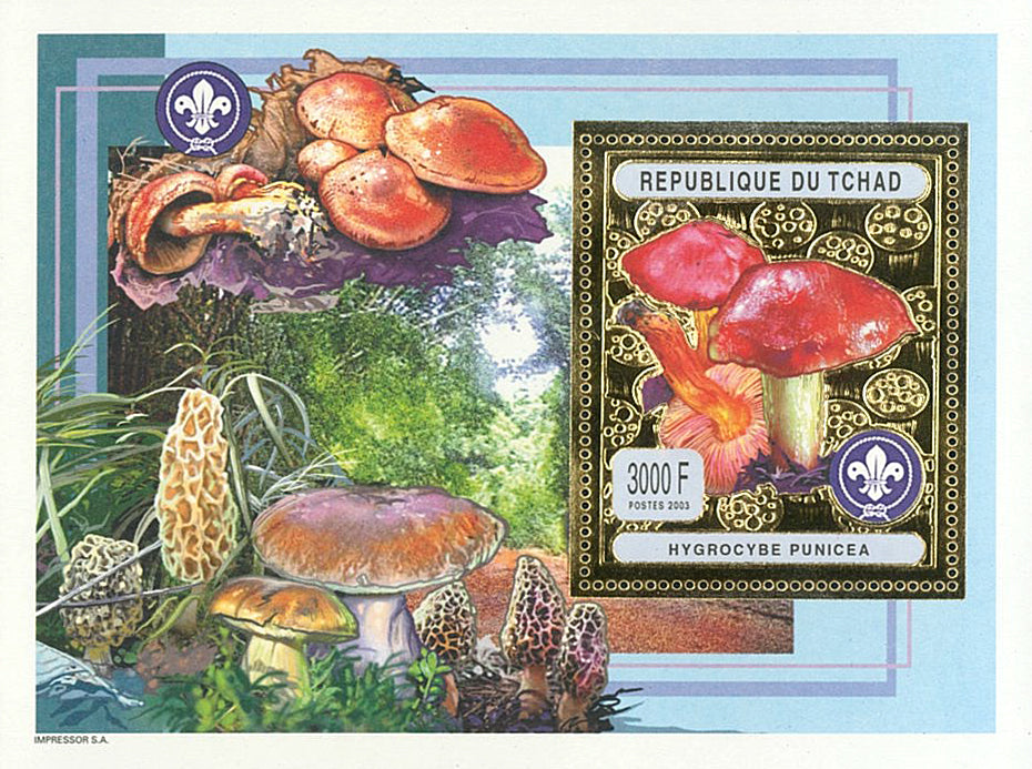 Mushrooms Hygrocybe Punicea - Silver & Gold (2003)