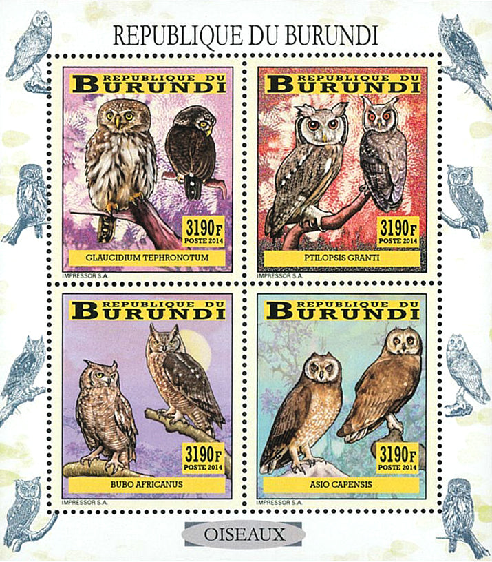 Fauna & Flora : Birds Owls