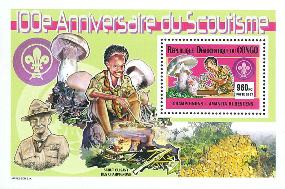 Scouting 100th anniversary- Mushrooms (2007)