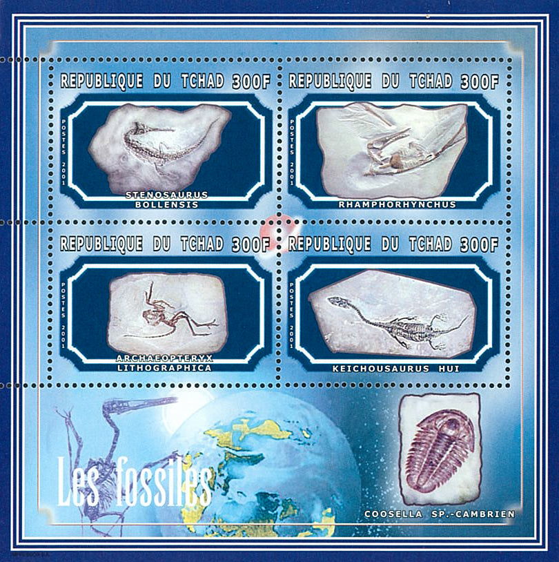 Dinosaurs & Minerals (II) – Tyranosaurus Silver & Gold