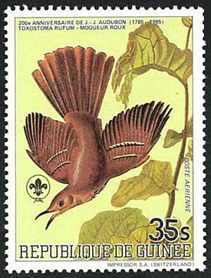 Birds Fauna & Flora : 200th Anniversary John James Audubon