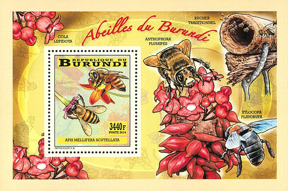 Fauna & Flora : Bees and Flowers