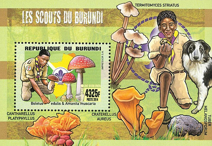 Scouting : Scouts of Burundi / Fauna / Flora / Mushrooms (I)