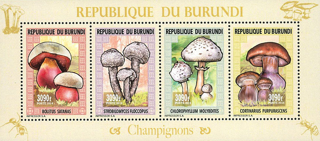 Fauna & Flora : Mushrooms & Insects (III)