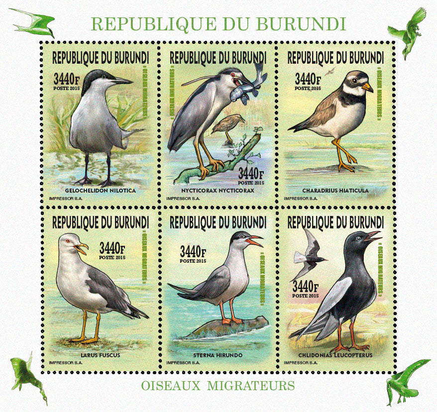 Fauna & Flora : Birds 2015 (VI) Mouettes & Goélands