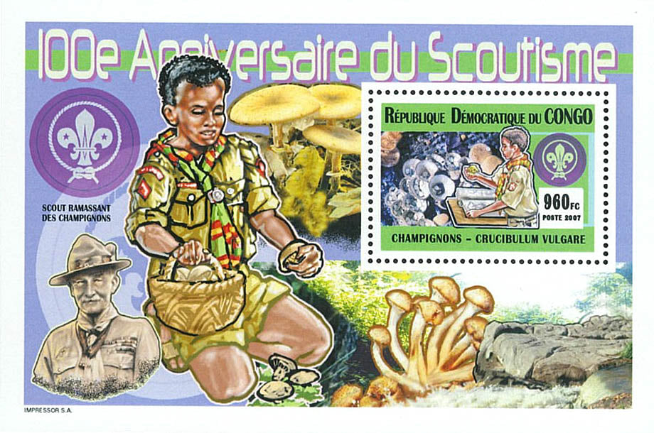 Scouting 100th anniversary- Mushrooms (2007)