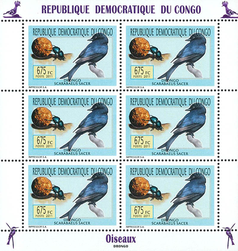 Birds - Animals (2011)