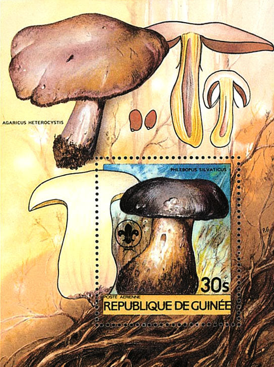 Fauna & Flora : Mushrooms & Scouting