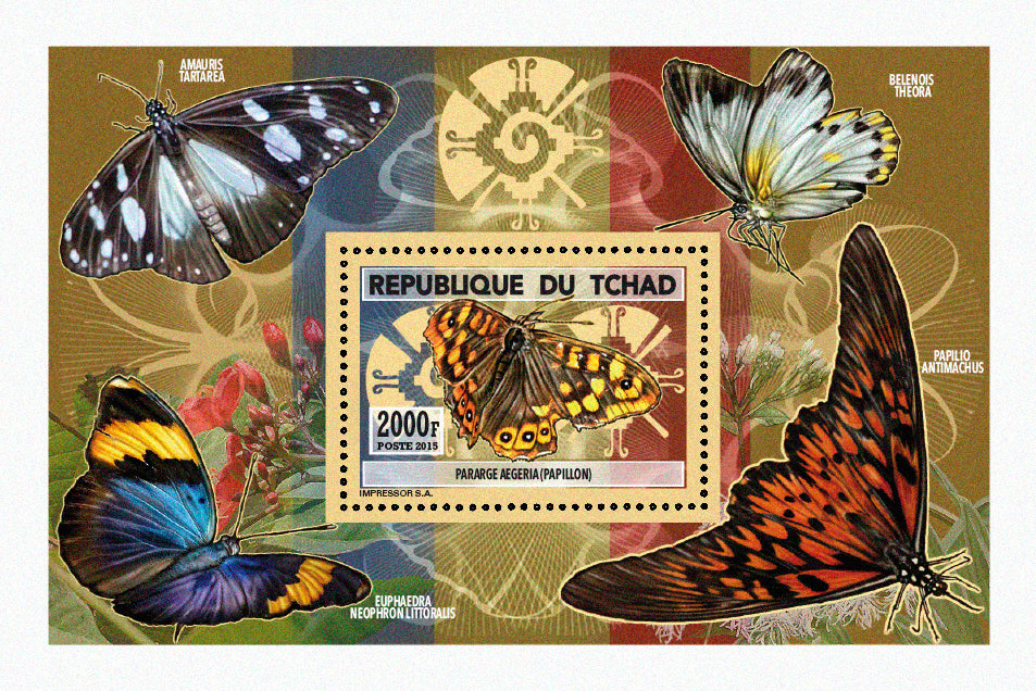 Insects and Birds / Butterflies