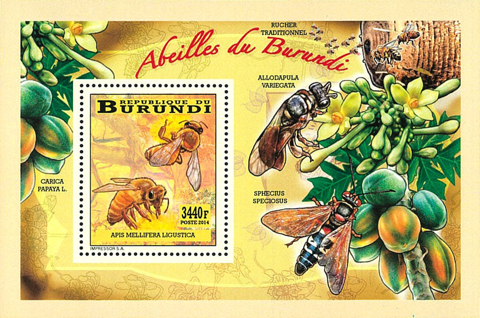 Fauna & Flora : Bees and Flowers