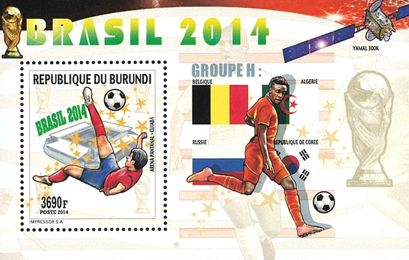 Football / Soccer : Worldcup Brasil 2014