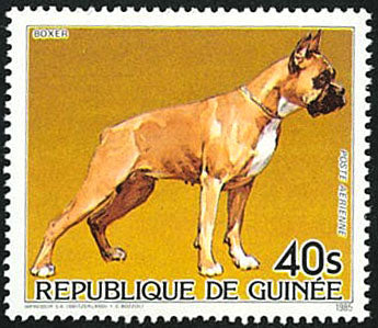 Cats & Dogs 1985