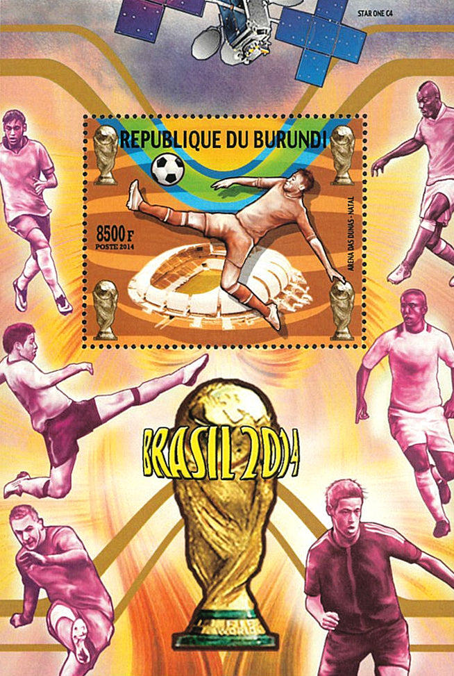 Football / Soccer : Worldcup Brasil 2014