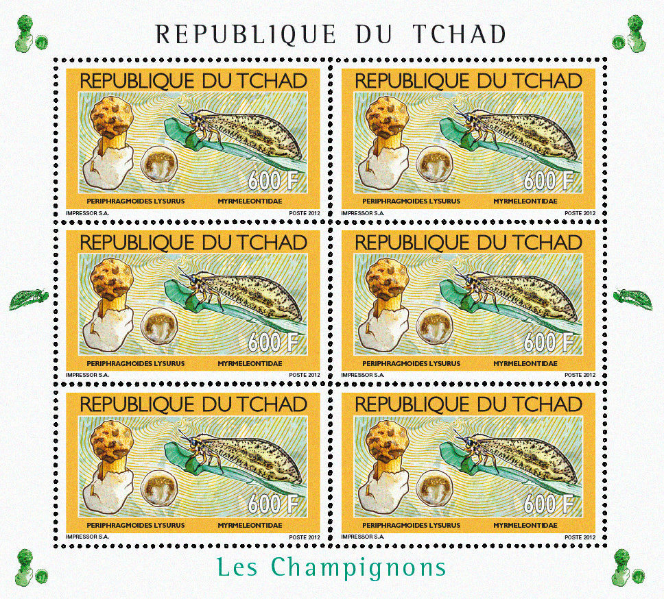 Mushrooms & Insects (2)