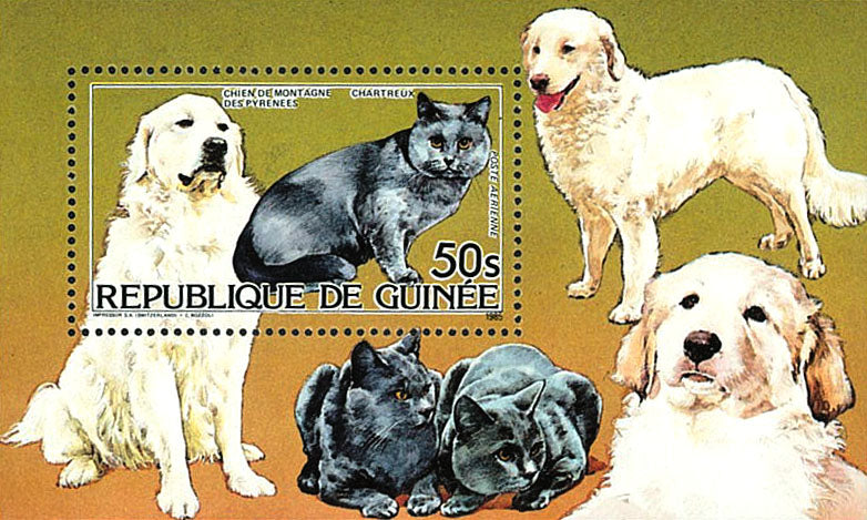 Cats & Dogs 1985