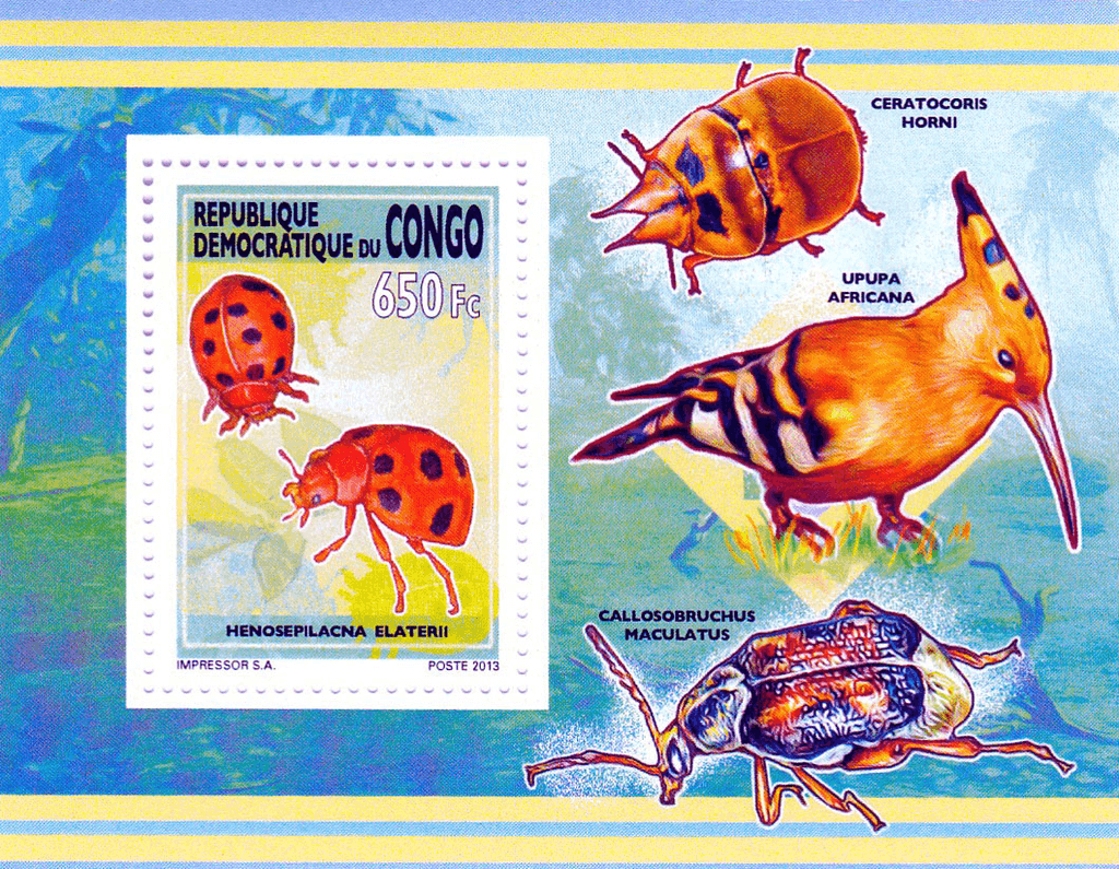 Insect 2012