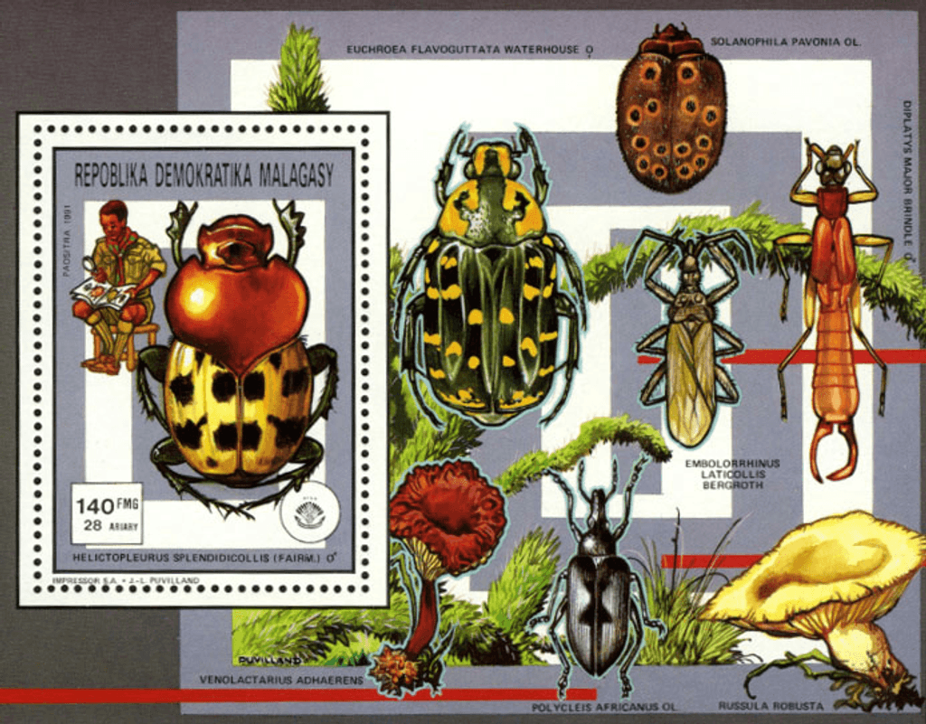 Pathfinger Movement Insects and Fungi 1991