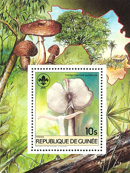 Fauna & Flora : Mushrooms & Scouting