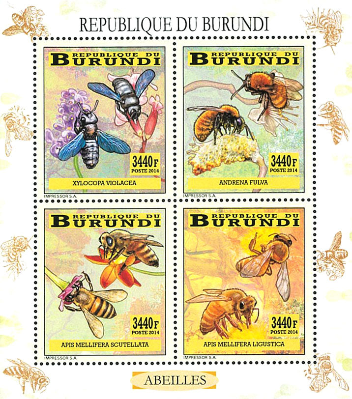 Fauna & Flora : Bees and Flowers
