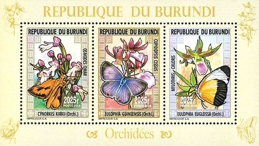 Fauna & Flora : Orchids and Butterflies