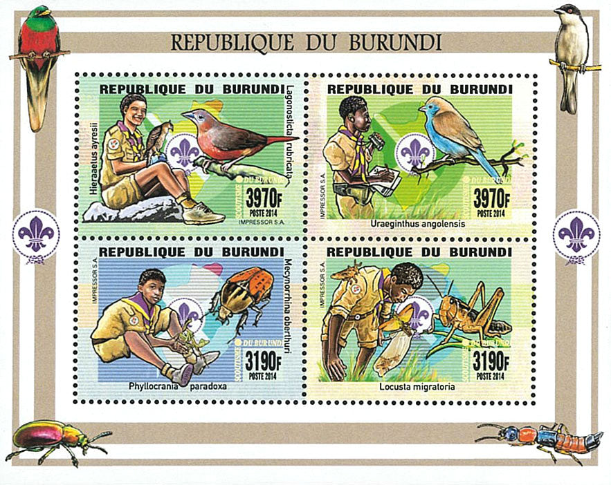 Scouting : Scouts of Burundi / Fauna / Flora / Mushrooms (I)