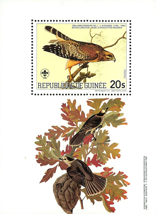 Birds Fauna & Flora : 200th Anniversary John James Audubon