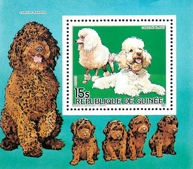 Cats & Dogs 1985