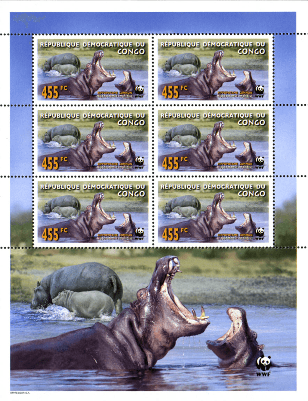 WWF , Hippo