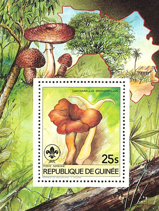 Fauna & Flora : Mushrooms & Scouting