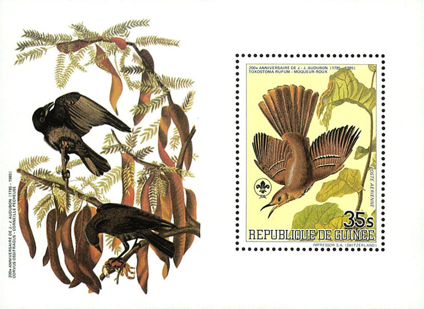 Birds Fauna & Flora : 200th Anniversary John James Audubon