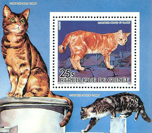 Cats & Dogs 1985