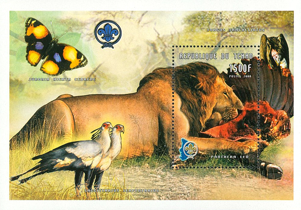 Wild Fauna & Scounting