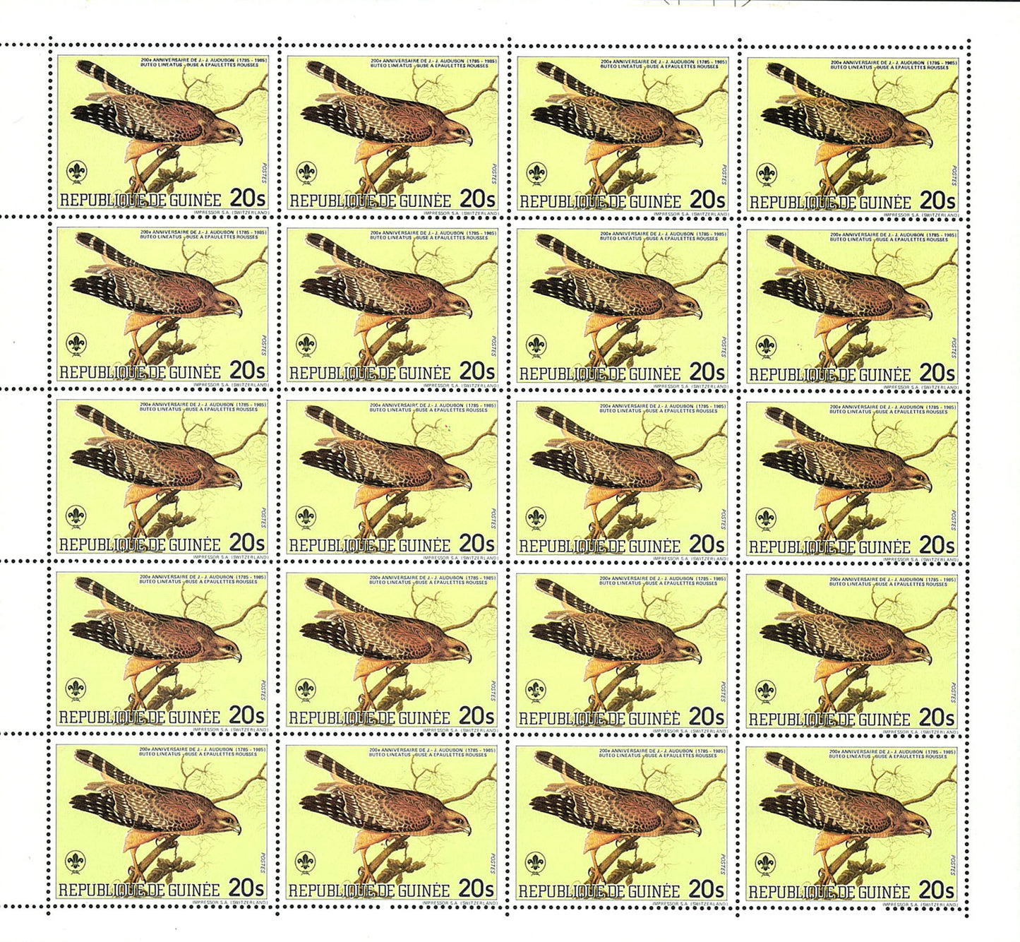 Birds Fauna & Flora : 200th Anniversary John James Audubon