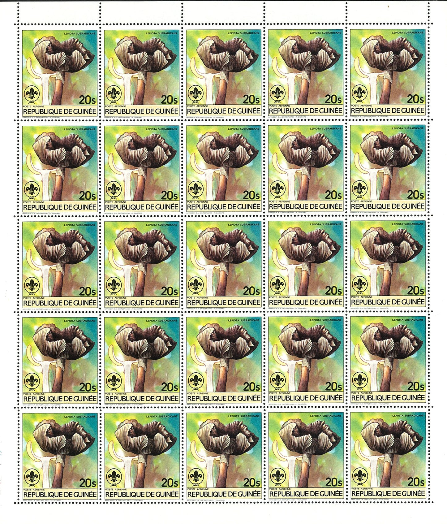 Fauna & Flora : Mushrooms & Scouting