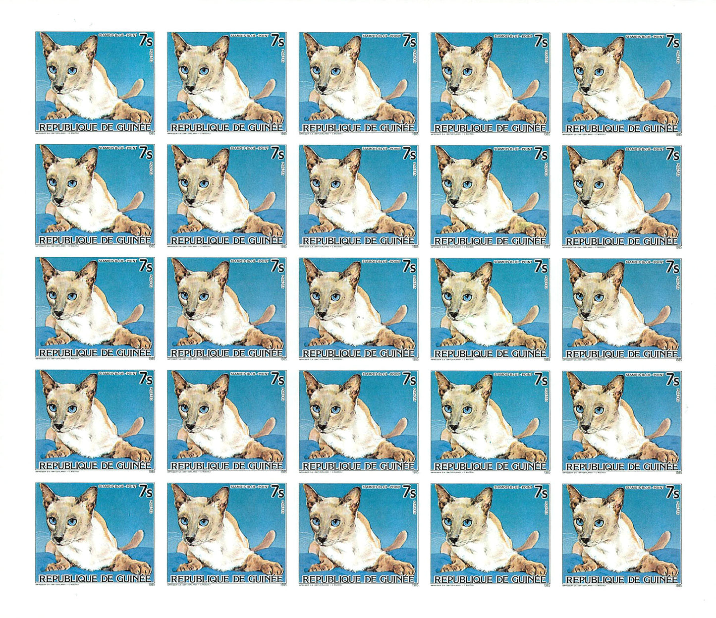Cats & Dogs 1985