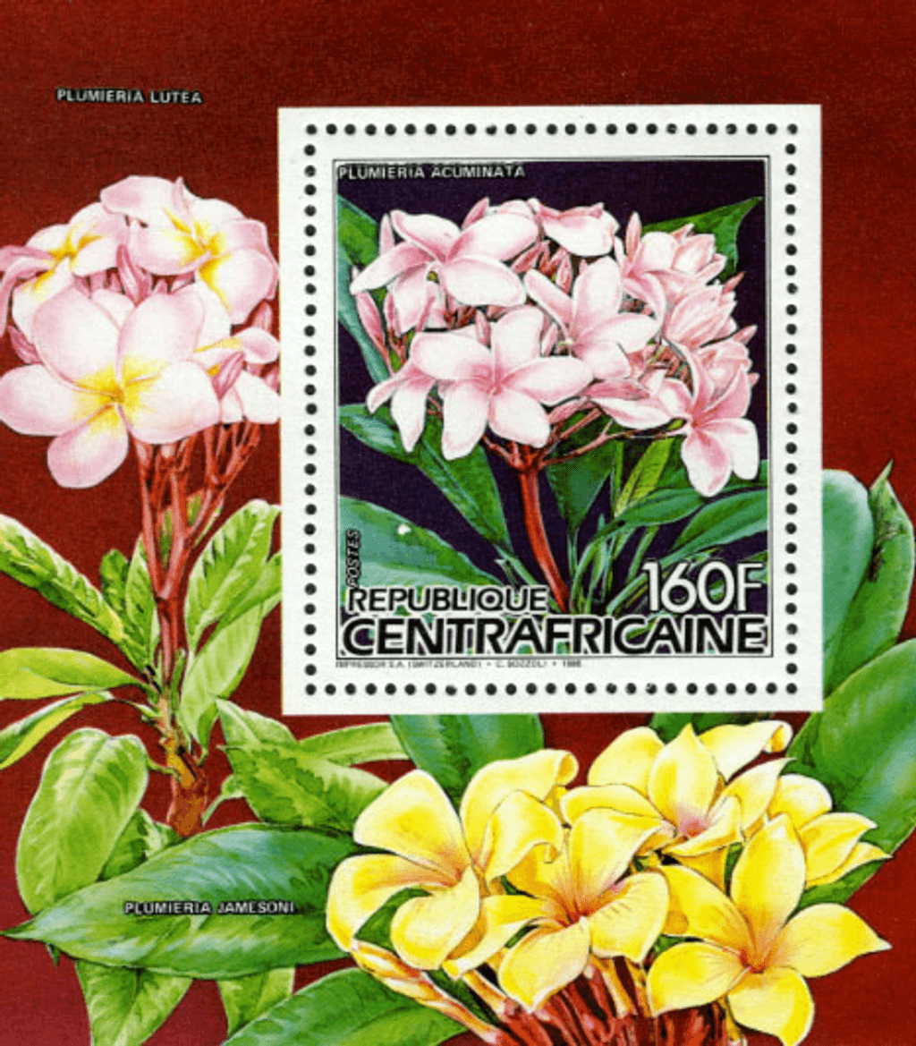 Flora and Fauna 1986