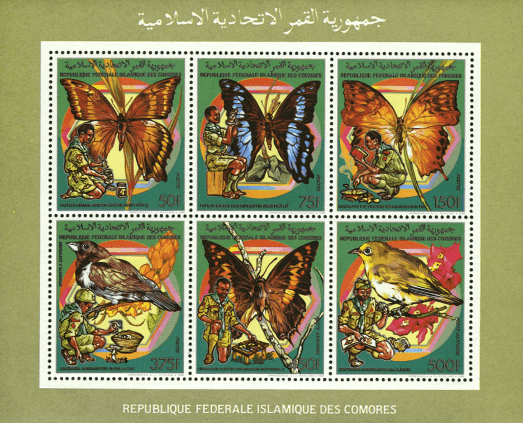 Scouting: Butterflies and Birds