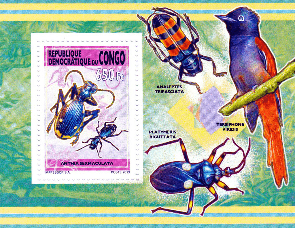 Insect 2012